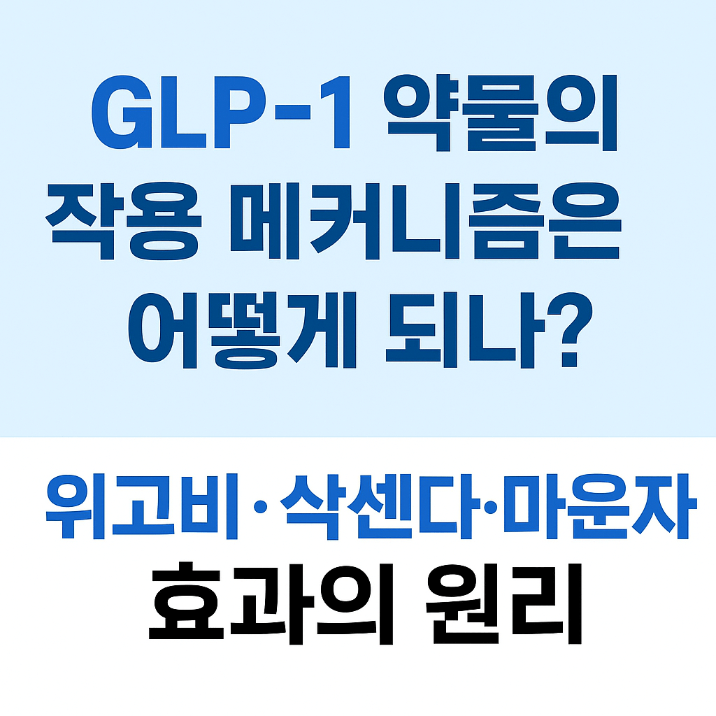 GLP-1 약물의 작용 메커니즘은 어떻게 되나?｜위고비&middot;삭센다&middot;마운자 효과의 원리