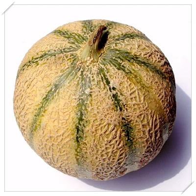 식도염 좋은 음식