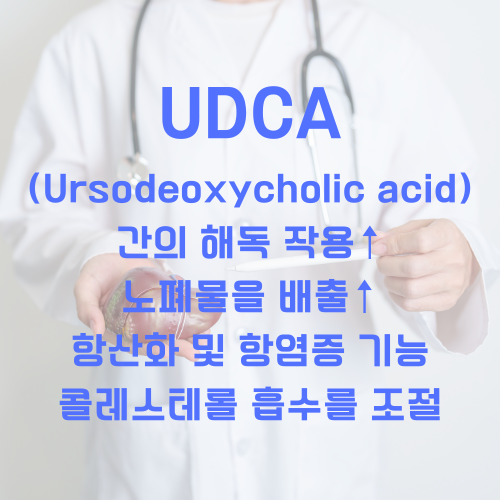 간기능 개선제 성분 UDCA