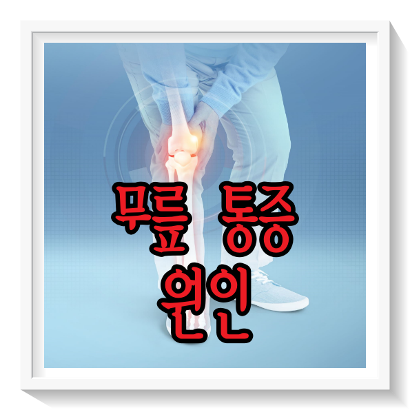 무릎 통증 원인