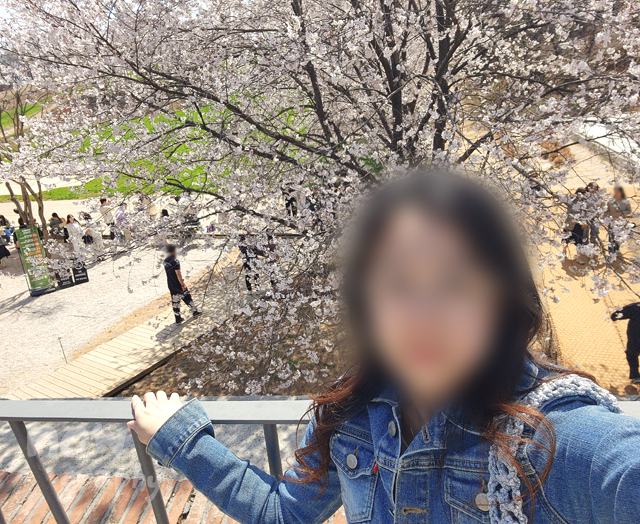 충남-당진-피어라-카페