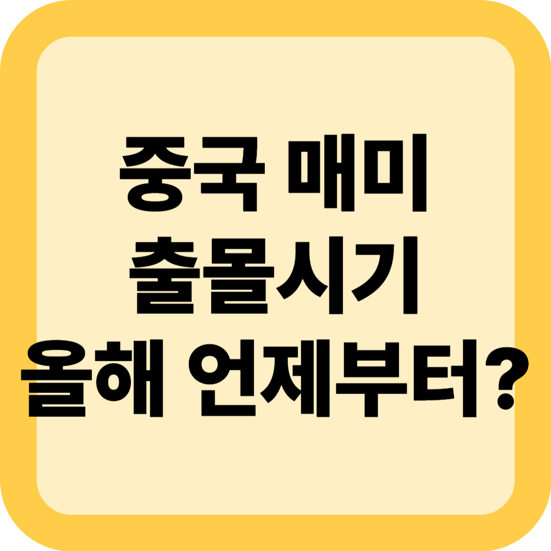 중국 매미 출몰시기, 올해 언제부터?