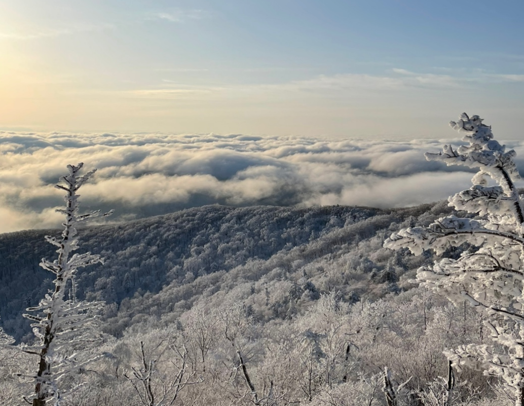 발왕산