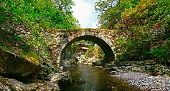 2024년 2월 3월 봄여행 국내 일일투어 진해 벚꽃 순천 홍매화 구례 산수유 광양 매화 추천