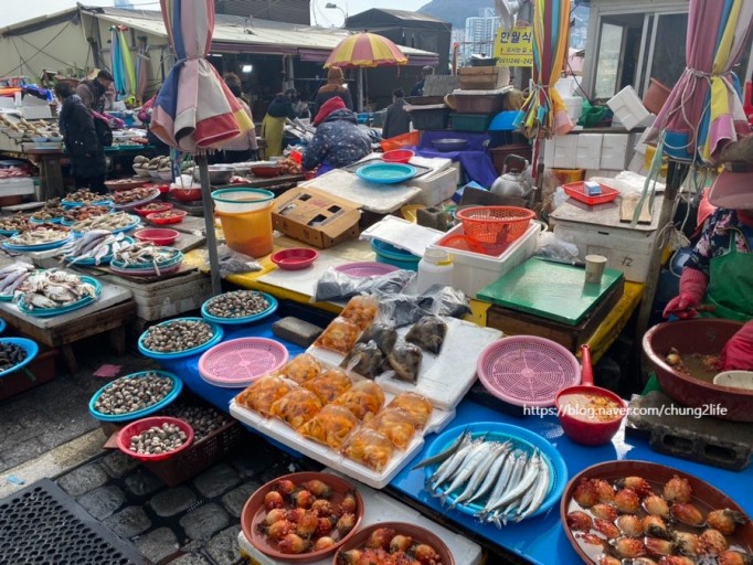 대체텍스트