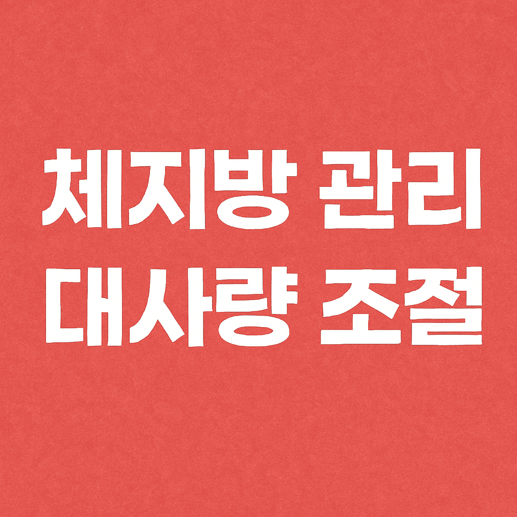 체지방 관리 대사량 조절