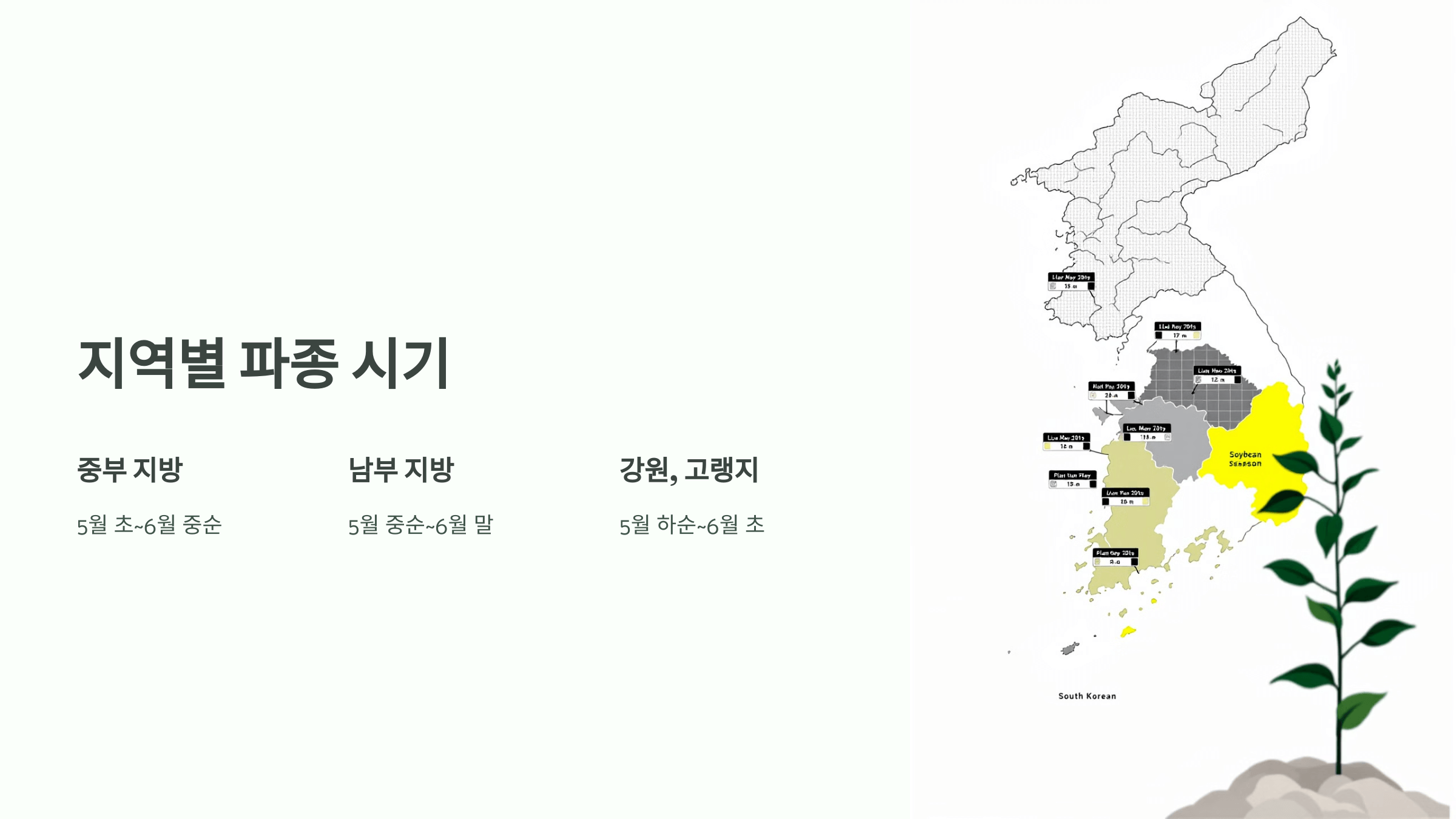 서리태 사진입니다.
