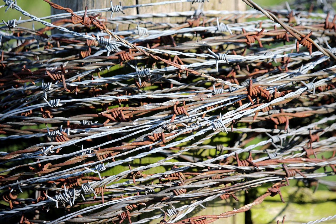 파상풍의 감염 경로 녹슨 철사