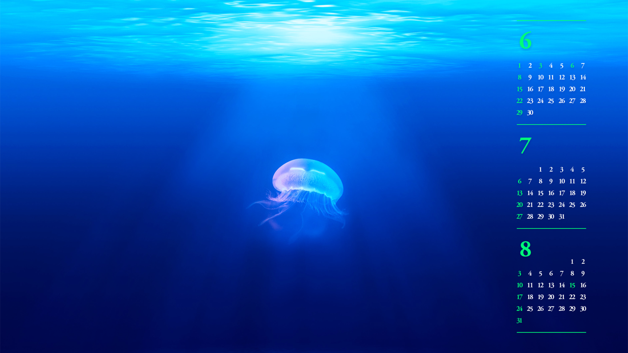 04 수면 아래 해파리 B - 2025년7월 노트북배경화면