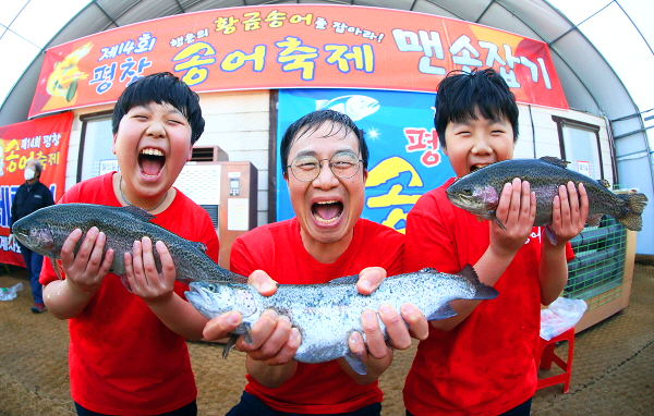평창송어축제