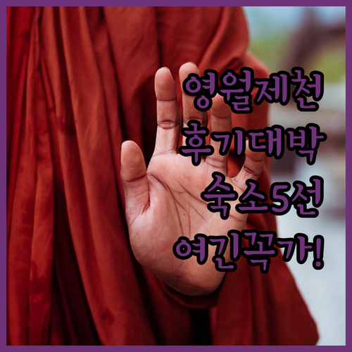 강원도 영월 제천 숙소 추천 5선 실..