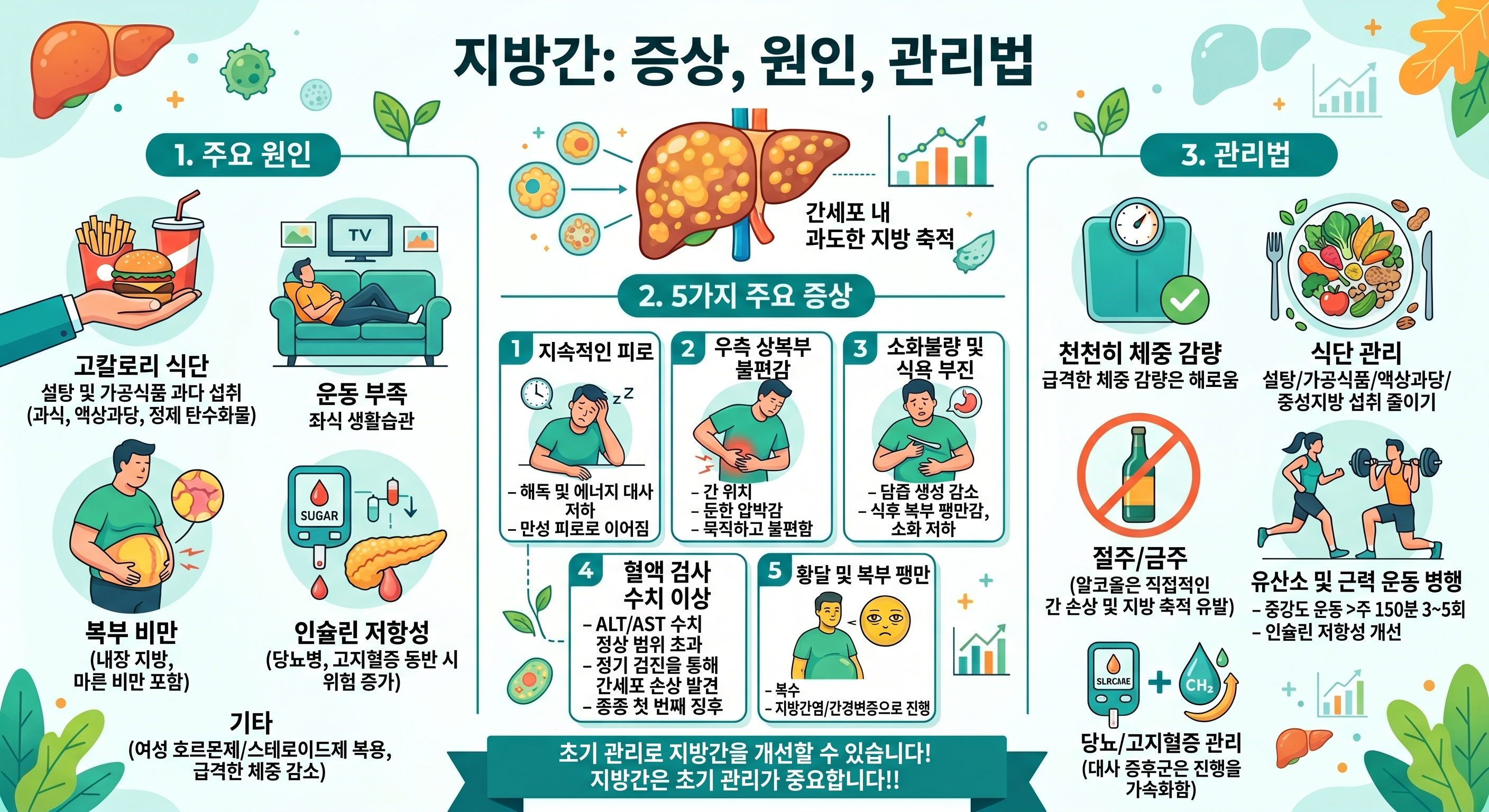 만성피로_지방간 관리법