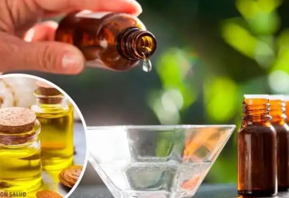 캐리어 오일 Carrier Oil