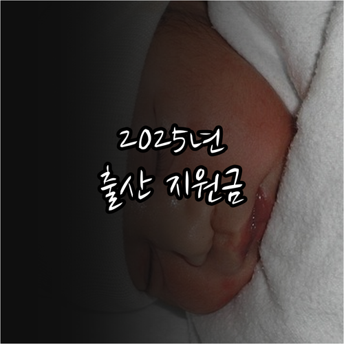 2025 진도군 출산 지원: 대상, ..