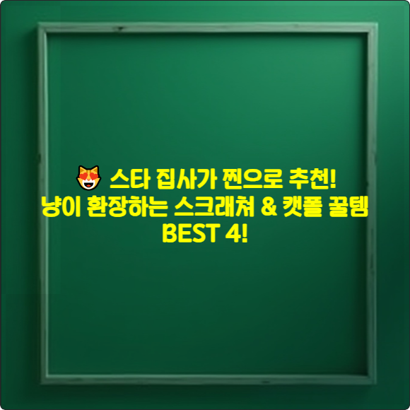 😻 스타 집사가 찐으로 추천! 냥이 환장하는 스크래쳐 & 캣폴 꿀템 BEST 4!