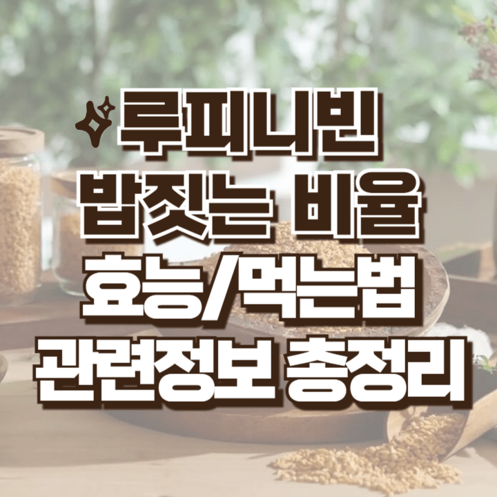 루피니빈 먹는법 당뇨/혈당/혈압/다이어트 밥짓는 비율 효능 부작용 등 관련정보 총정리