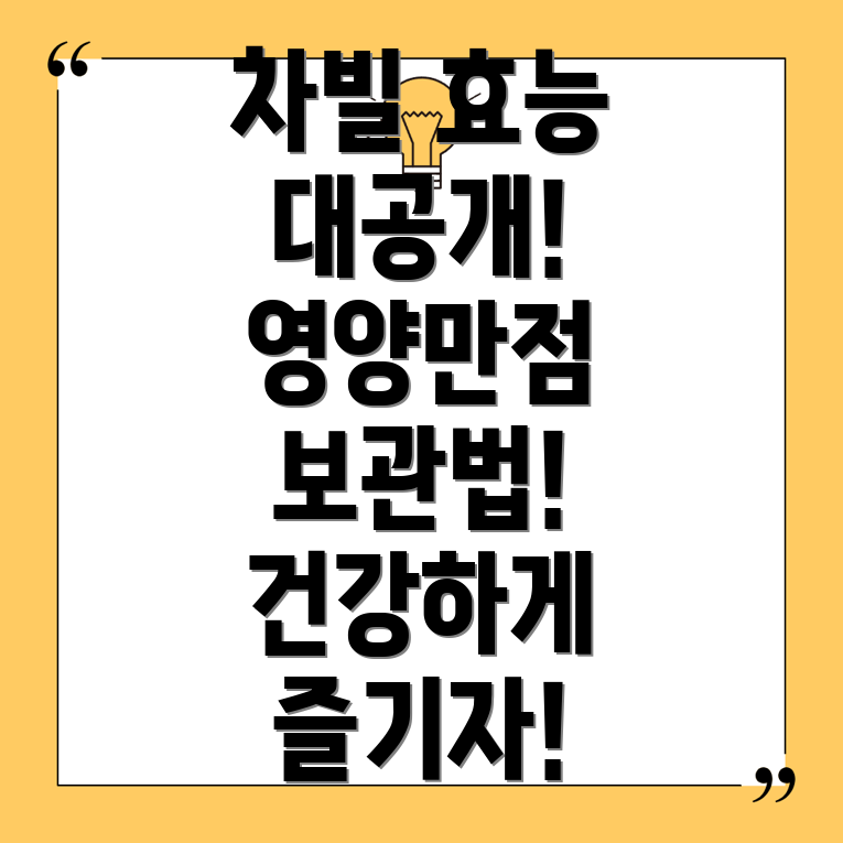 차빌