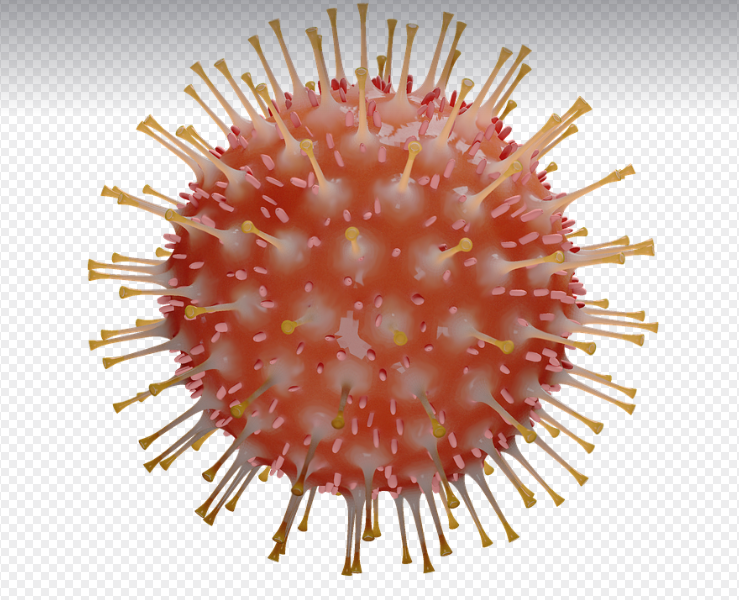 코로나19 재유행 현황