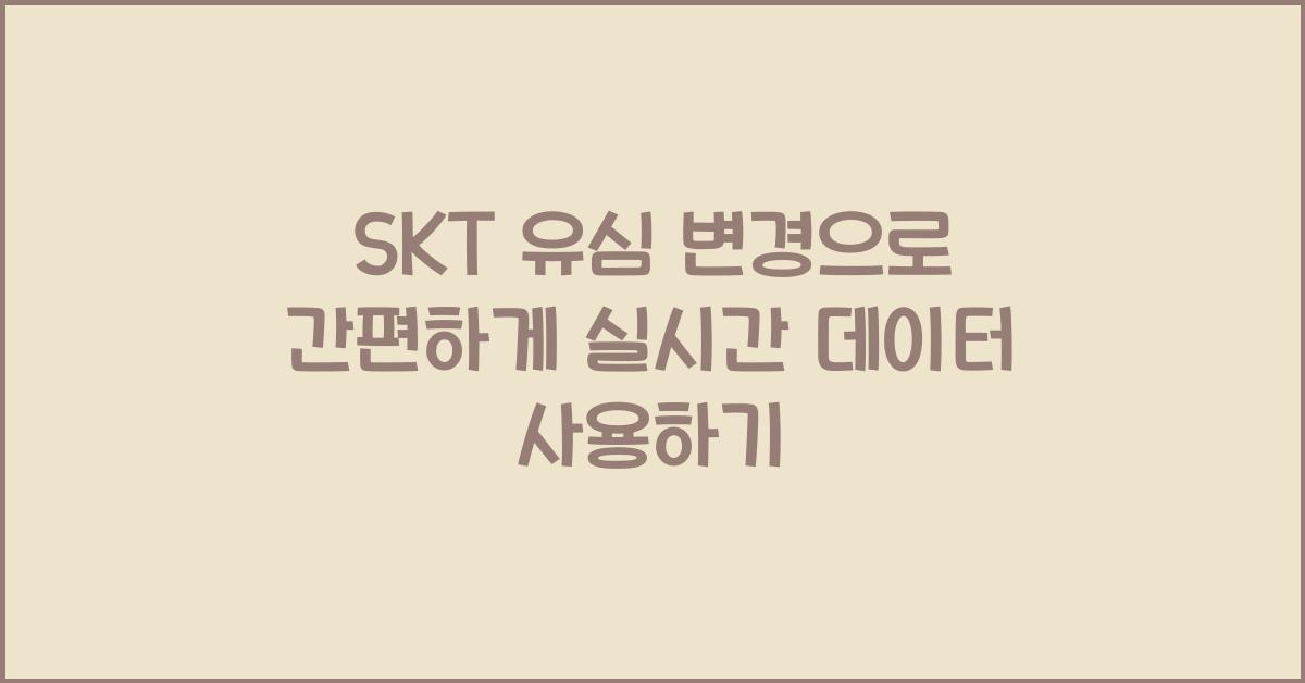 skt 유심 변경