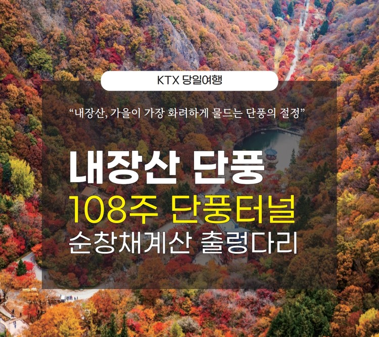 내장산 단풍 사진