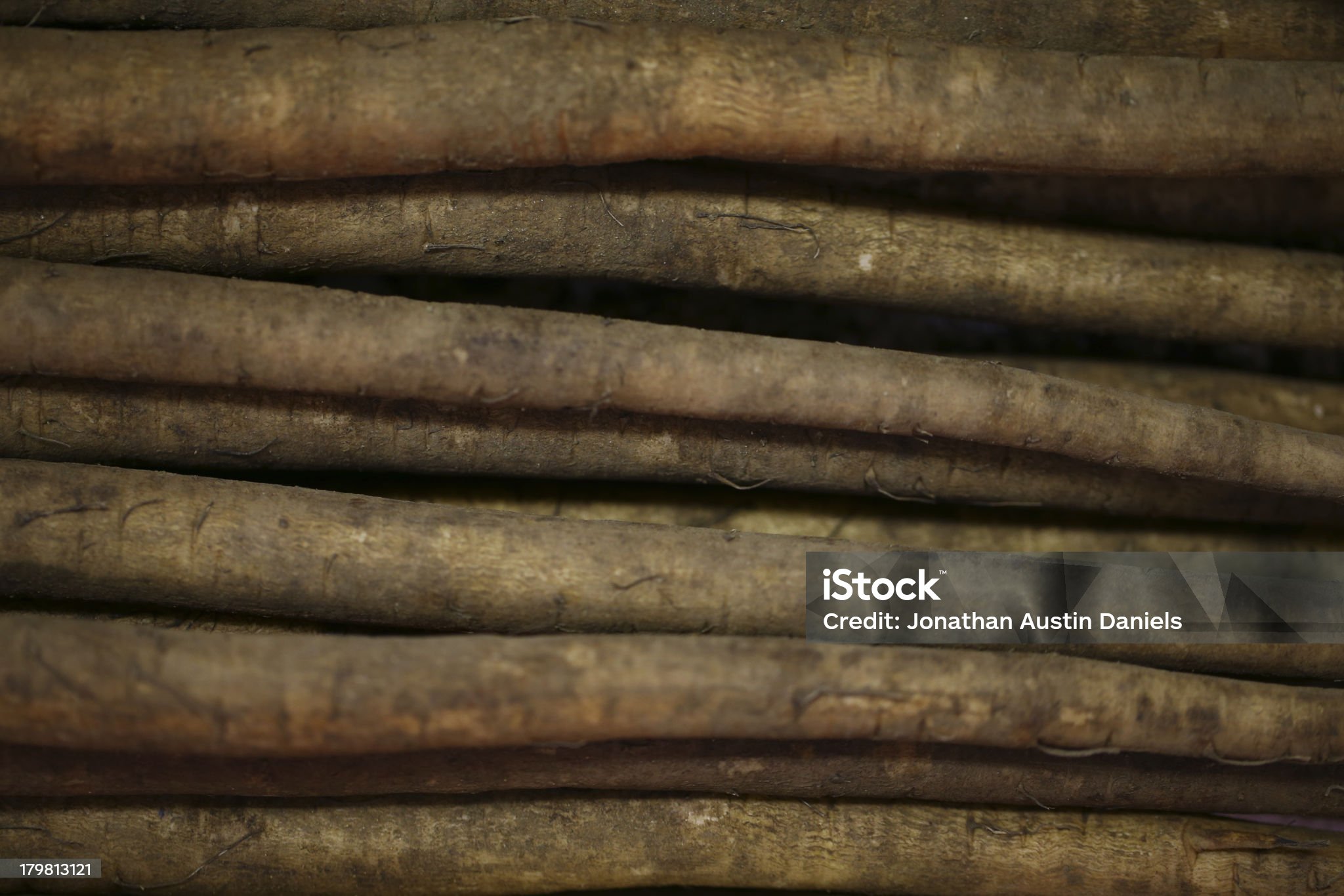 건강식 우엉 관련 사진