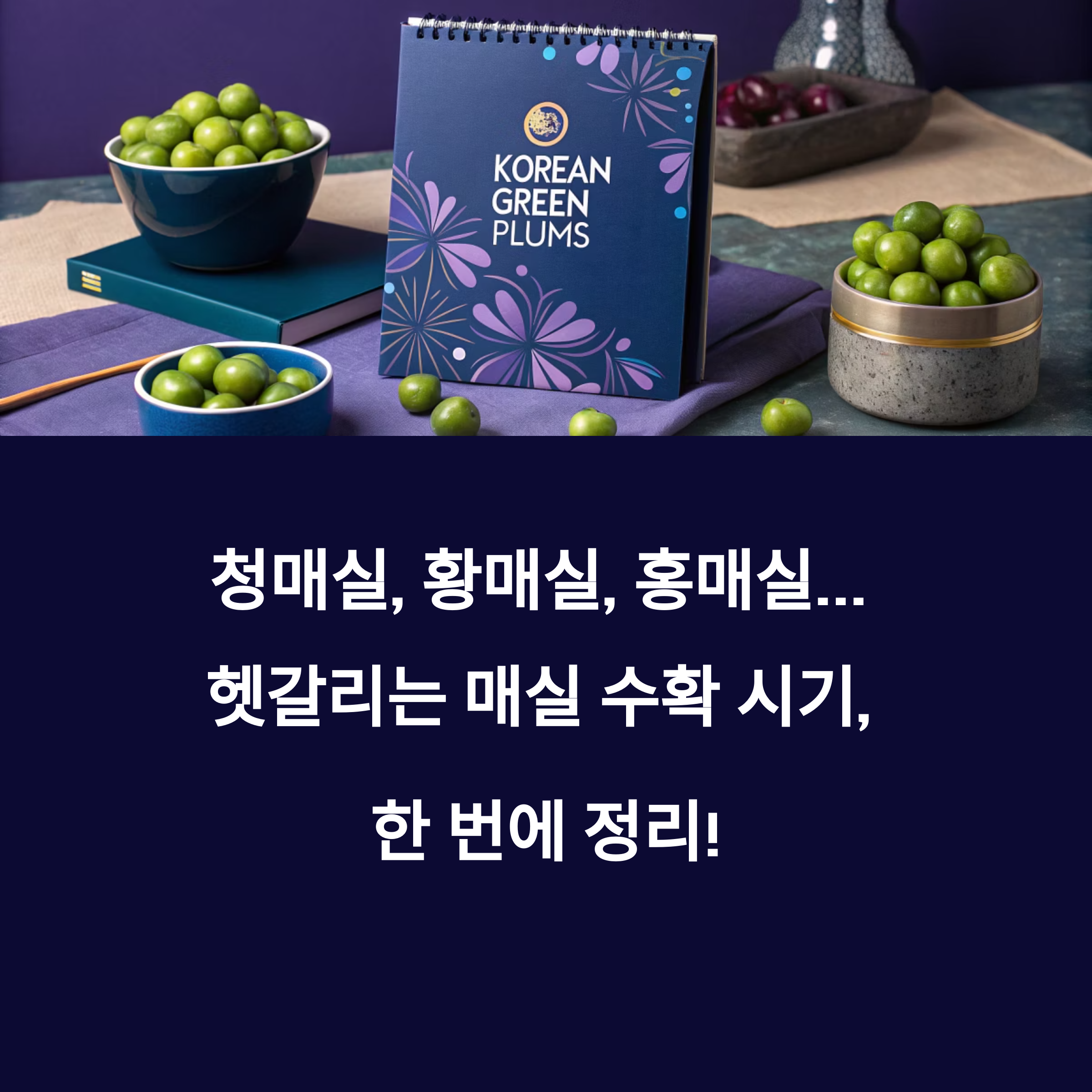 아직도 헷갈려요? 청매실&middot;황매실&middot;홍매실 수확 시기 완전 정리!