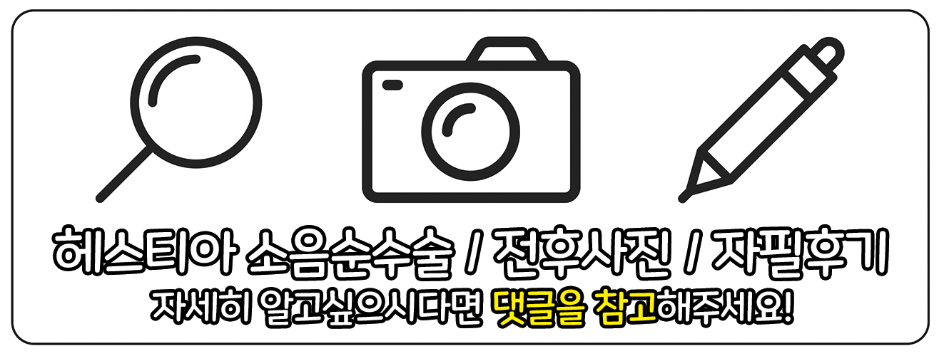 헤스티아소음순수술 전후사진 자필후기