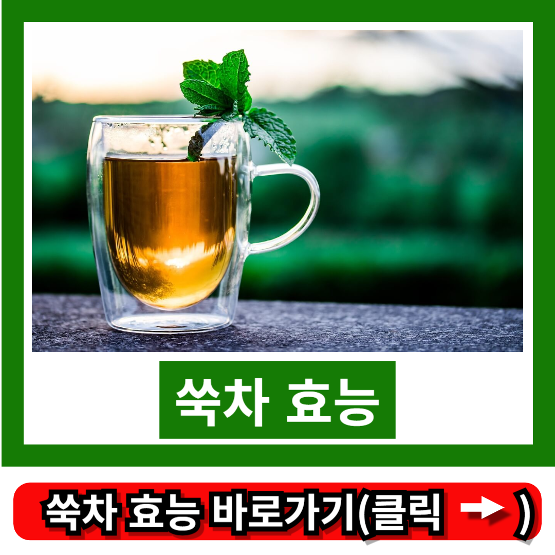 쑥차 효능