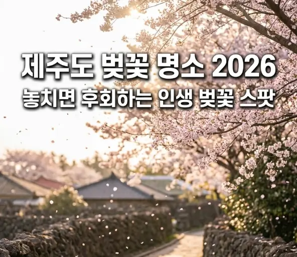 제주도 골든아워 벚꽃길, 돌담 사이로 이어진 오솔길 위 흩날리는 분홍 꽃잎, 상단에 '제주도 벚꽃 명소 2026' 텍스트 오버레이가 삽입된 여행 블로그 썸네일