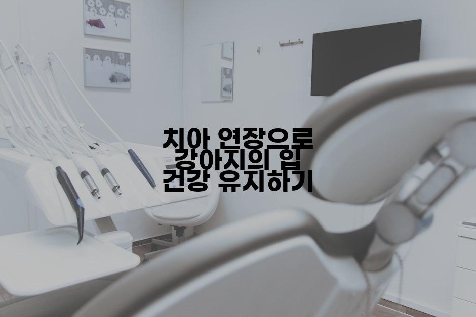 치아 연장으로 강아지의 입 건강 유지하기