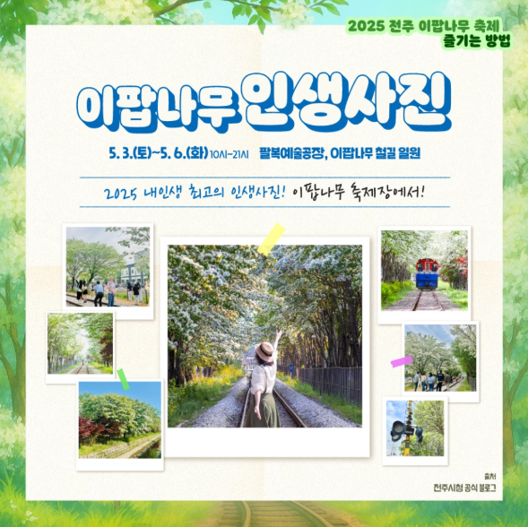관람 팁