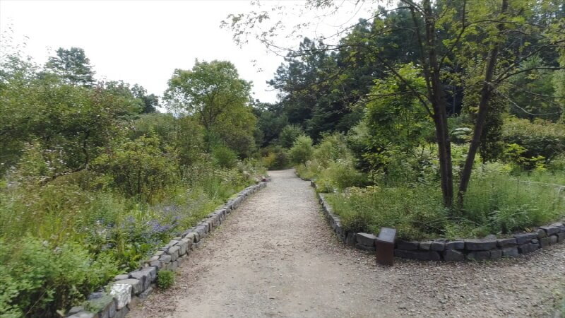 포천 국립수목원 광릉수목원 예약