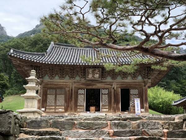 소나무와 사찰 아름다운 절