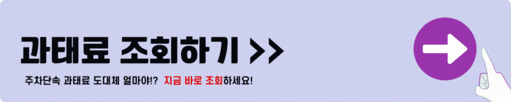 과태료 조회