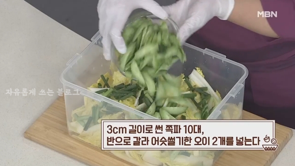 알배추 요리