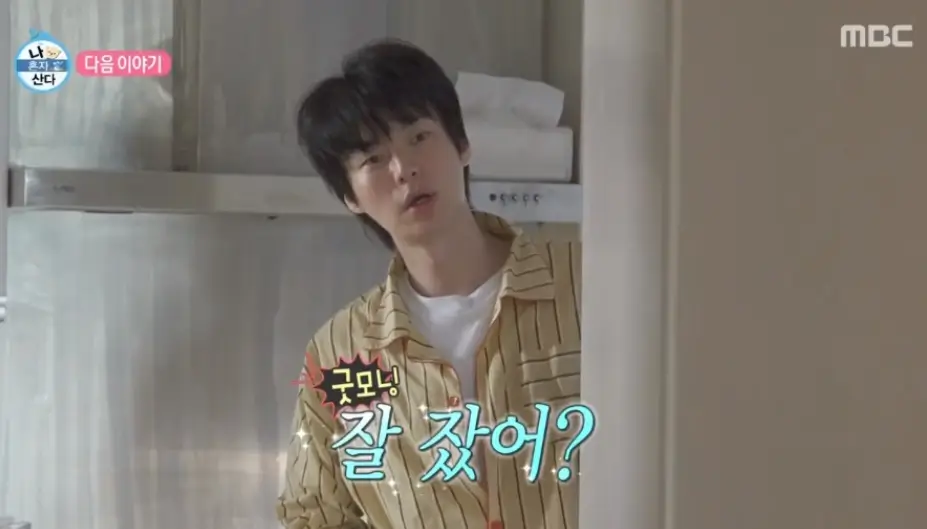 안재현 프로필 필모그라피 나이 드라마 MBTI 이혼 근황 인터뷰 나혼자산다