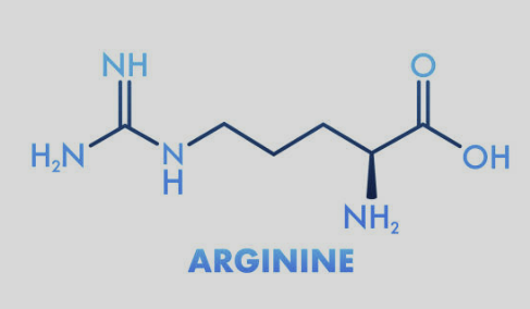 아르기닌 효능 부작용 복용법 하루섭취량 총정리(최신)