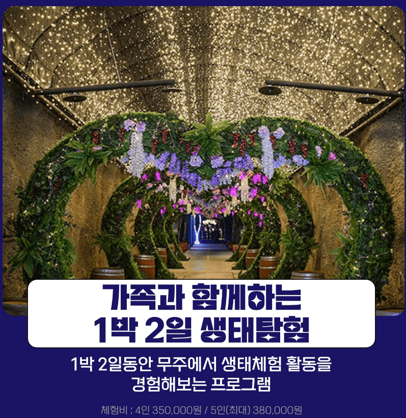 무주반딧불축제 체험프로그램