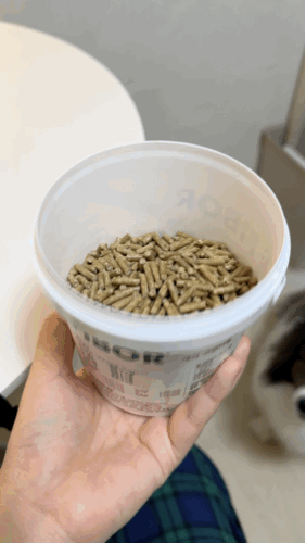 반려동물 식이섬유 파이보 강아지 설사할 때 먹이는 보조제 FIBOR