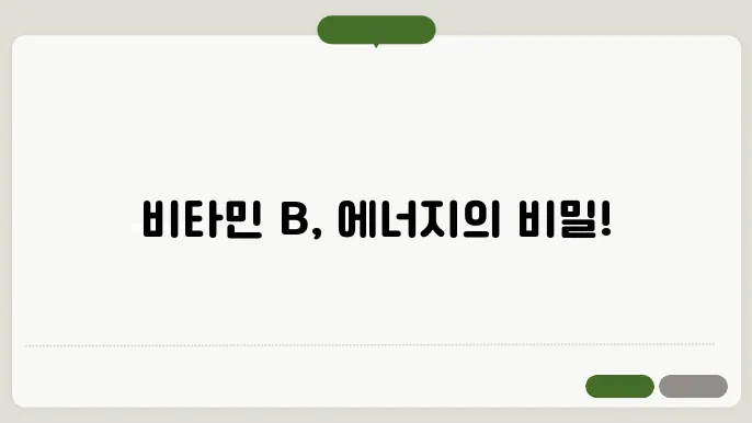 비타민b 효능