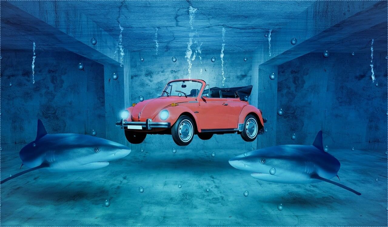 머스탱 가격