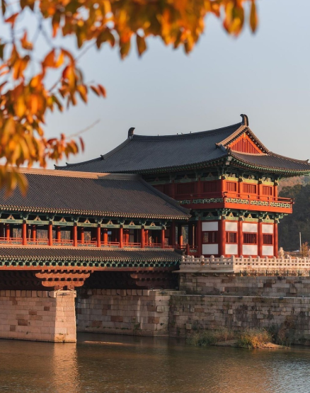 2025 봄 여행 트렌드: SNS명소, 감성카페, 축제