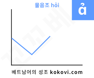 물음조의 그래프