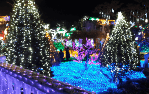 허브아일랜드-조명