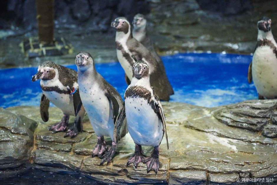 고양 가볼만한곳 베스트10