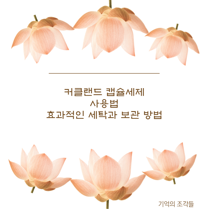 커클랜드 캡슐세제 사용법 효과적인 세탁과 보관 방법