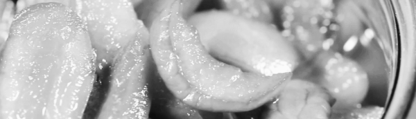 3개월 이상 김치냉장고 숙성