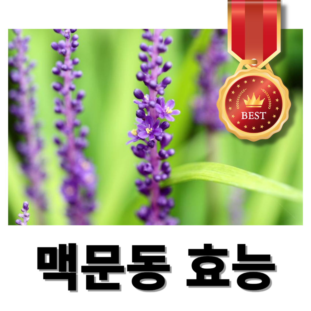 맥문동과 관련된 사진입니다.