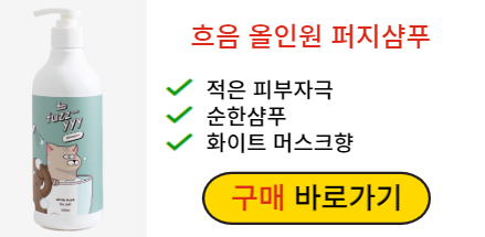 흐음 올인원 퍼지샴푸