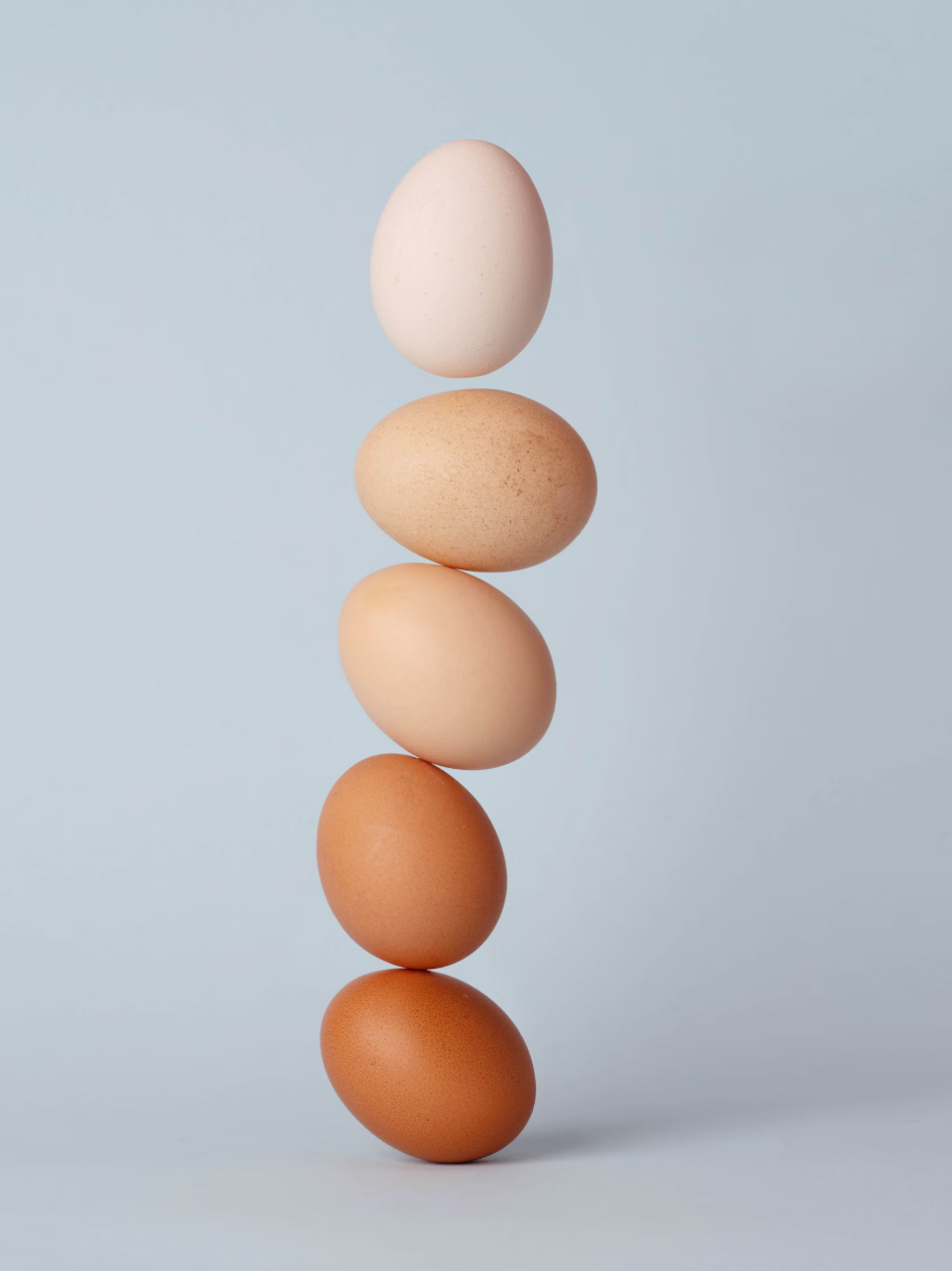 오메가3 풍부한 식품 4